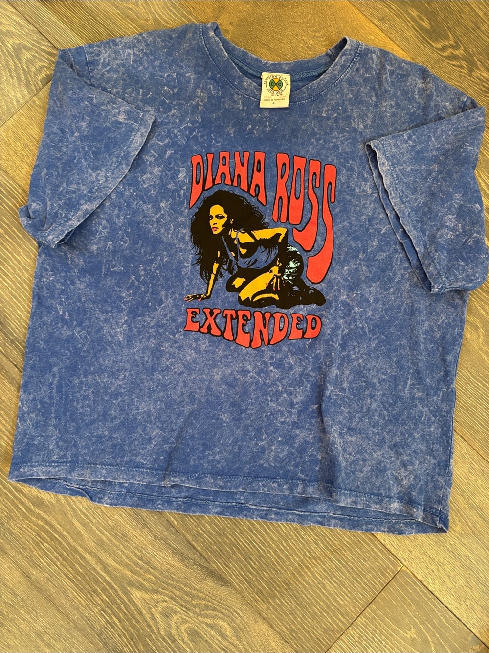 Diana Ross Extended Graphic Mineral Wash Blue Tee
